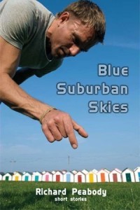 Blue Suburban Skies book cover