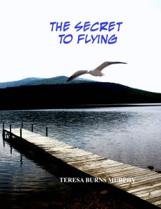 book cover for the Secret to Flying 